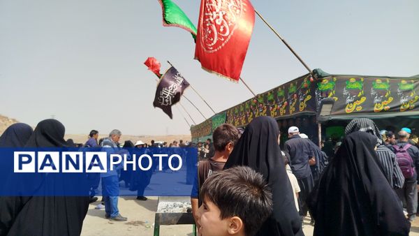 پیاده روی زائران امام رضا(ع) از ملک آباد تا مشهد 