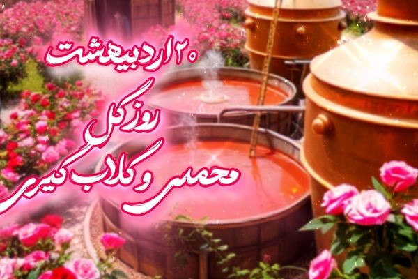 ثروت کمیاب گل محمدی در فرهنگ و آیین ایران