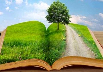 کتاب‌ها،دوستانی بی‌صدا اما همیشه حاضر