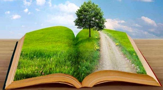 کتاب‌ها،دوستانی بی‌صدا اما همیشه حاضر