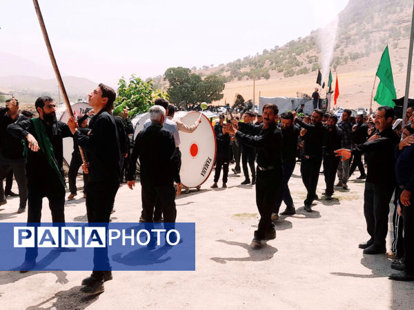 امامزادگان میزبان عزاداران محرم 