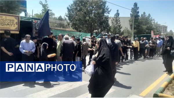 فعالیت موکب ها در برنامه جاماندگان اربعین