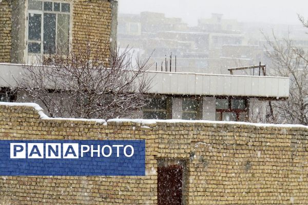 برف زمستانی در شهرستان بن 