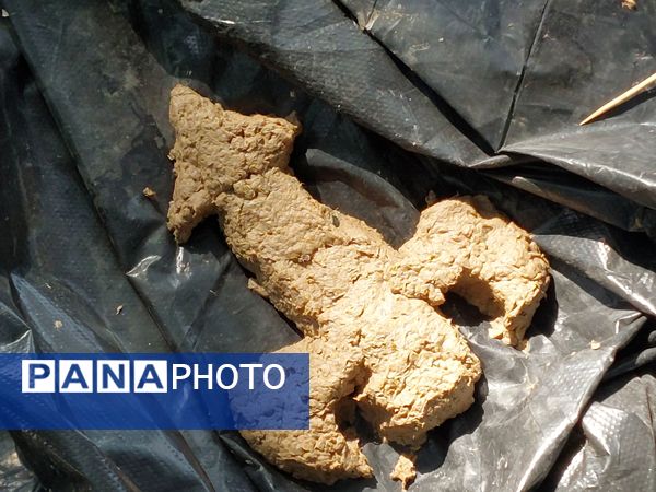 اردوی فاتحان ثریا در اردوگاه ثامن الائمه مشهد 