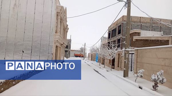 شازند سفیدپوش شد