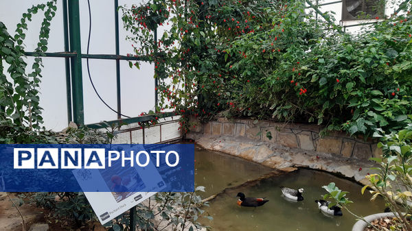 باغ پرندگان قم: جاذبه‌ای بی‌نظیر در قلب کشور