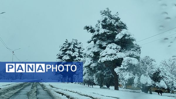 جلوه های زیبا از بارش برف در شهرستان نیشابور 