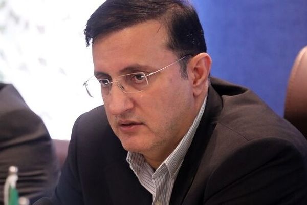 حفاظت از درختان کاشته شده از اولویت های مهم سازمان منابع طبیعی است
