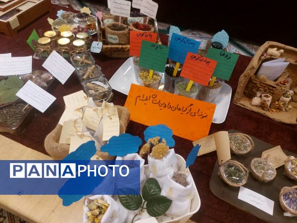 برگزاری نمایشگاه گیاهان دارویی در دبیرستان شاهد شهدای اقتدار ملارد 