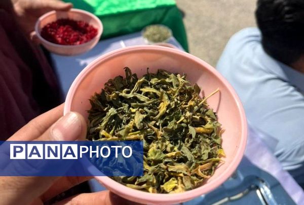 برگزاری جشن روز کودک در مدرسه شهید محمد منتظری