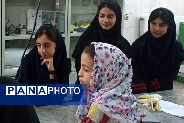 برگزاری کارگاه کار با میکروسکوپ در پژوهش‌سرای دانش‌آموزی بو‌علی سینای ملارد