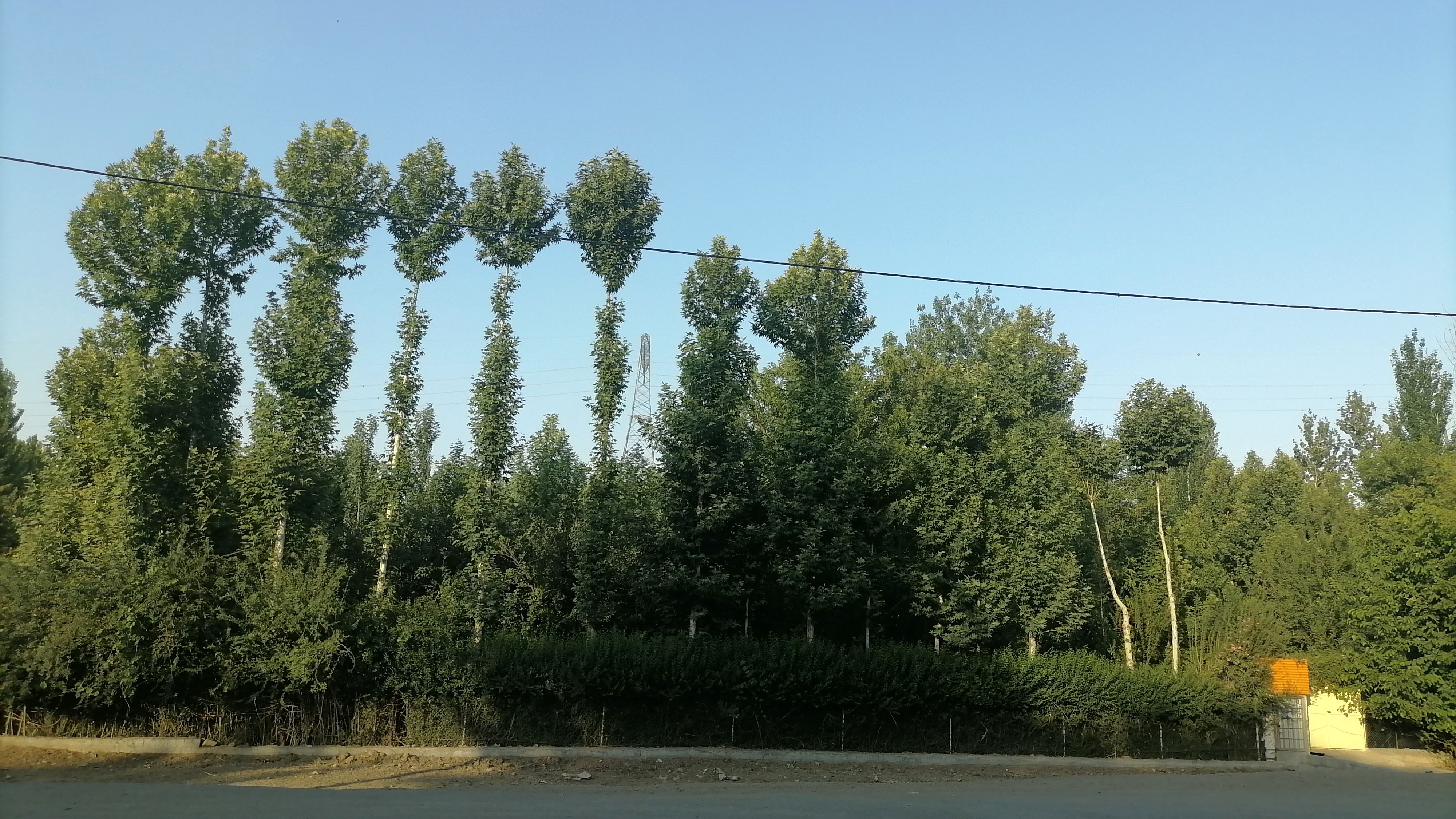 باغ بهادران؛ بهشت کوچکی در اصفهان