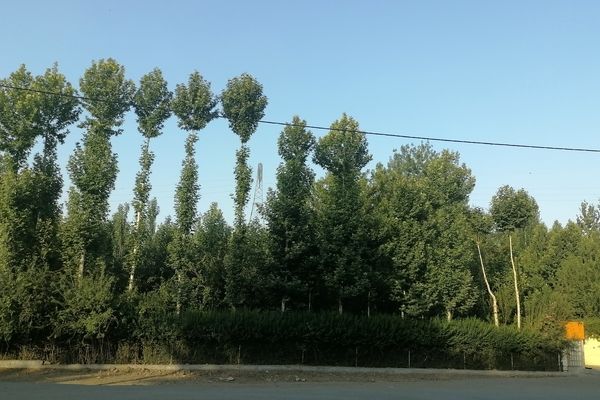 باغ بهادران؛ بهشت کوچکی در اصفهان