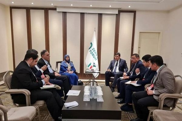 تشکیل کارگروه مشترک ایران و ازبکستان برای مقابله با گردوغبار و حفاظت از گونه‌های نادر 