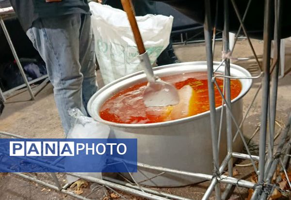 برپایی موکب دختران بصیرا در بجنورد 