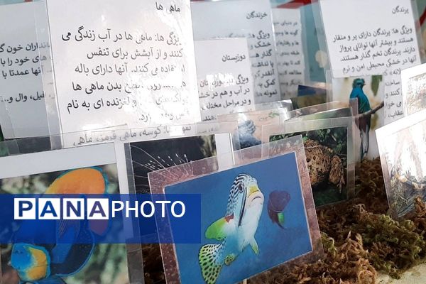 نمایشگاه طرح جابربن‌حیان در دبستان حضرت معصومه (س) بهارستان‌۲