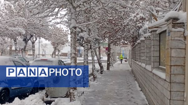 شازند سفیدپوش شد