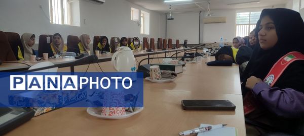 برگزاری کارگاه آموزشی خبرنگاری پانا در فین