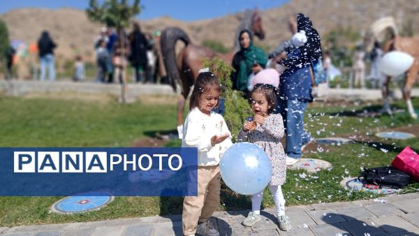 پرواز بادبادک‌ها