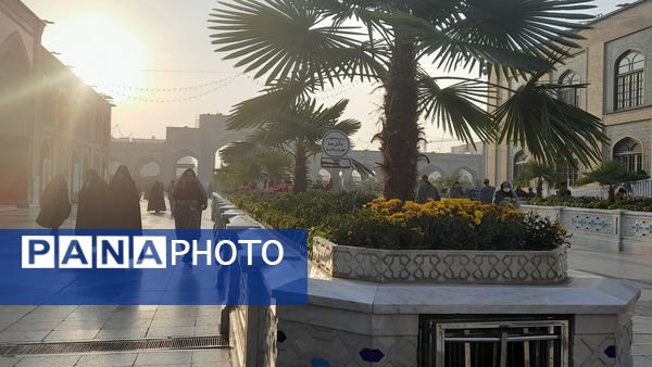 همدلی و زیارت در چهارشنبه‌های رضوی