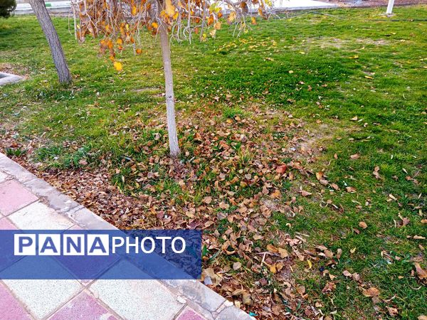 طبیعت زیبای کاشمر در پاییز