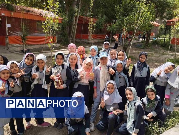 اردوی تفریحی دانش آموزان دبستان شاهد حاج تقی آقا بزرگ در اردوگاه جوادالائمه مشهد