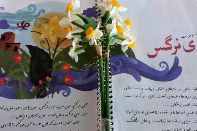 «بوی نرگس» با طعم هیجان و نشاط در کلاس سوم