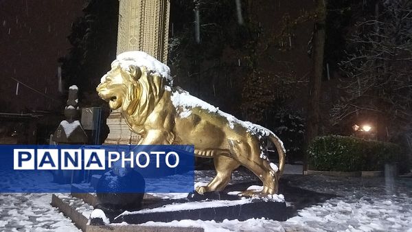 شبی برفی در نیشابور 