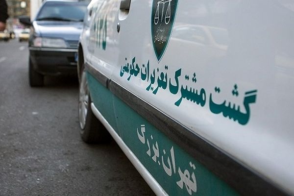 سازمان تعزیرات حکومتی با هیچ متخلفی مماشات نخواهد کرد