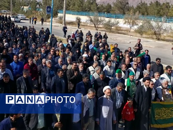 پیاده‌روی رضوی و رونمایی از کتاب «مشهدگ» در سالروز ورود امام رضا(ع) به خرانق اردکان