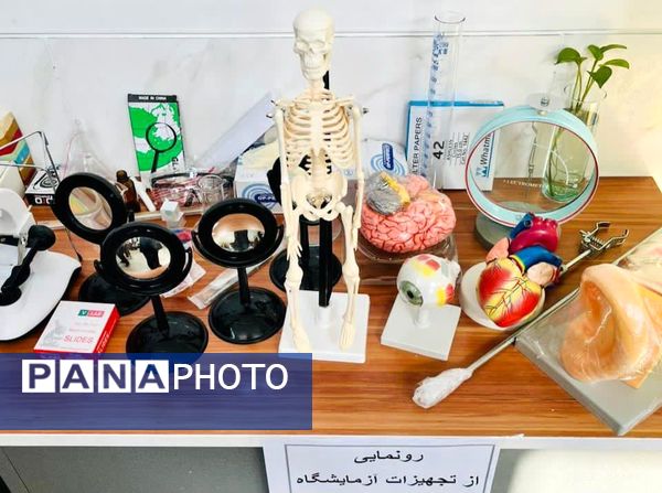 برگزاری نخستین همایش «از علم تا عمل» در مدارس حاجی‌آباد 