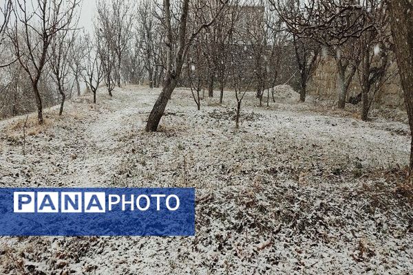 شروع اولین بارش برف زمستانی در بهمن ماه ۱۴۰۳ در شهر زیبای با‌ر