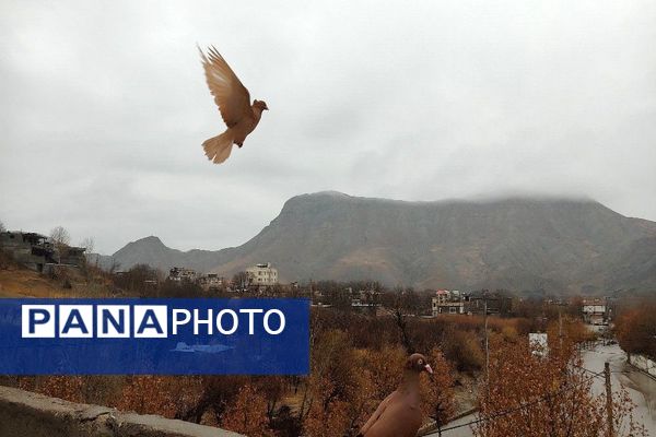 چهره شفاف و دل انگیز شهربارنیشابور با بارش  باران پاییزی  