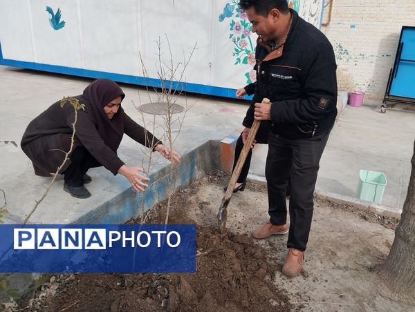 کاشت درخت در هنرستان بصیرت آشخانه