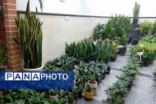 نمایشگاه گل و گیاه در نمایشگاه دائمی قرچک