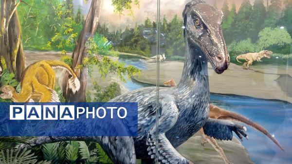 بازدید مدرسه ساره از پارک موزه علوم زمین