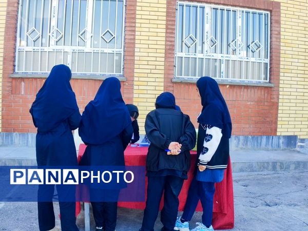 انتخابات شورای دانش‌آموزی در هنرستان مهدیزاده نیا