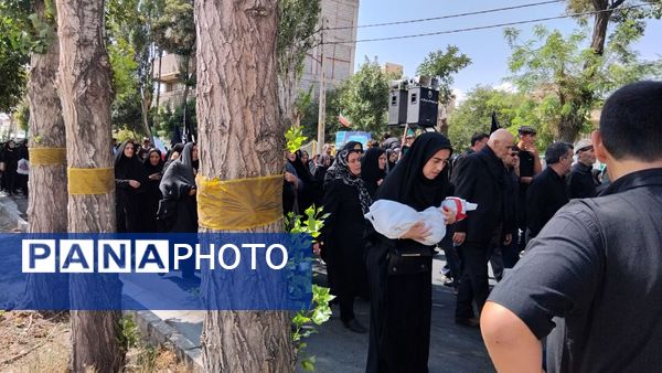 پیاده‌روی جاماندگان اربعین حسینی در اهر