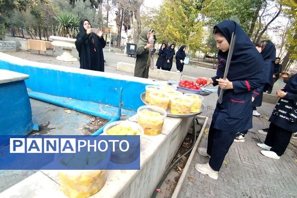 اردوی طرح تمشک دانش‌آموزان ناحیه یک بهارستان