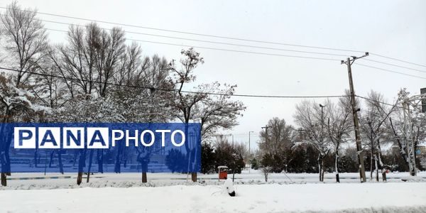 سکوت برفی بروجن، قلب شهر را به تپش انداخت