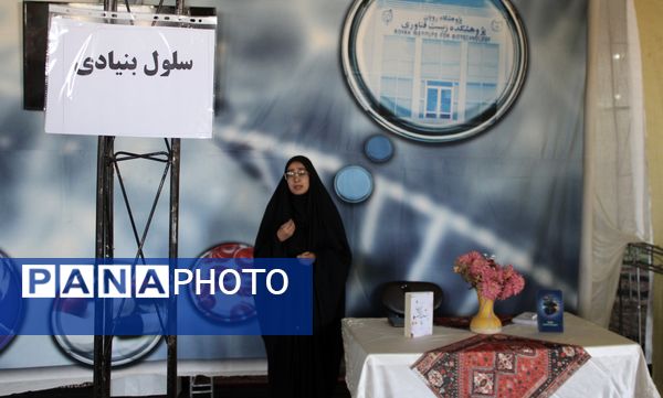 نمایشگاه «امید» در شهرستان تربت‌جام؛ ابزاری حیاتی برای خنثی‌سازی تهاجم رسانه‌ای دشمنان