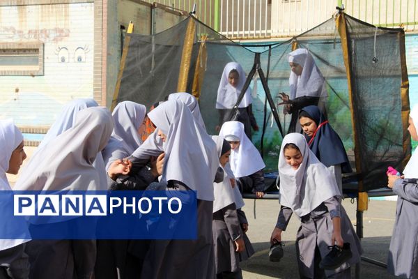 پروازِ شورِ ورزش در کاوه آهنگر