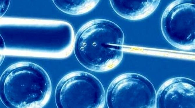 بازار سلول‌درمانی کشور در اختیار شرکت‌های دارای مجوز