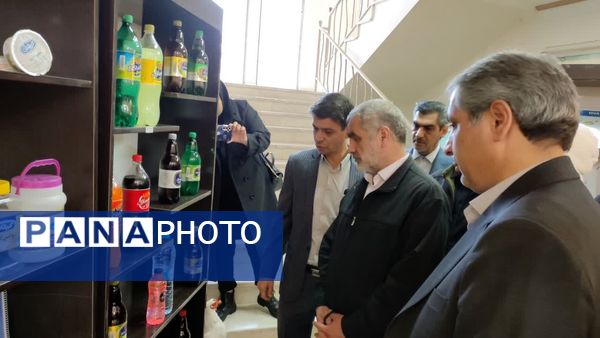 بازدید نائب رئیس مجلس شورای اسلامی از نمایشگاه تولیدات و محصولات صنعتی و صنایع دستی شهرستان کاشمر