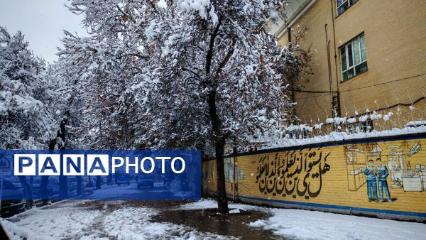 وقتی زمین زیر لحاف سفید برف به خواب میرود