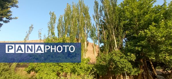 مزار گردشگری کلاته بایزید، گوهر پنهان طبیعت در دل کوهستان 