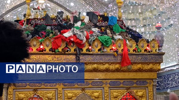 کاروان عاشقان به کربلا رسیدند؛ خیابان‌ها غرق در زمزمه «لبیک یا حسین»