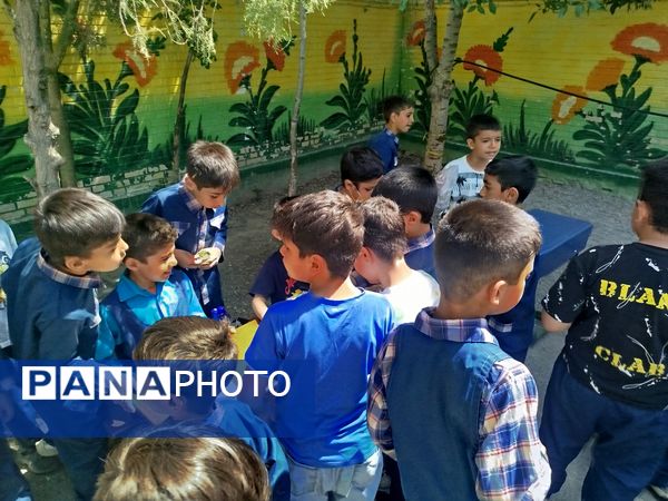 برگزاری بازارچه درون مدرسه‌ای در دبستان مبین شیروان