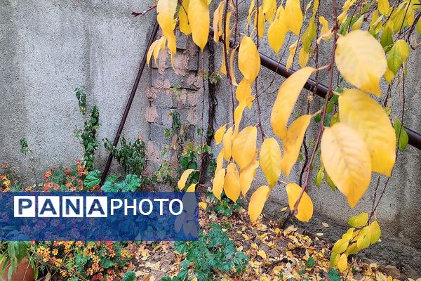 اولین باران پاییزی قابی شفاف از پاییز  رنگارنگ را در شهر زیبای بار رقم زد