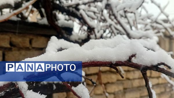 مارکده در آغوش سپیدی برف